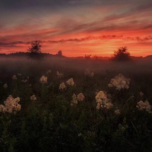 毛片网站在线观看
