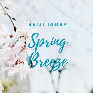 毛片网站在线观看
