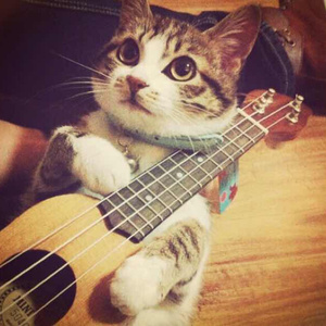 毛片网站在线观看
